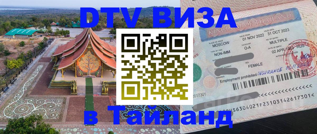 Сколько стоит DTV виза — актуальные цены, оформление даже без документов - Анкара 